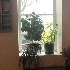 Meet your Posher, Loretta